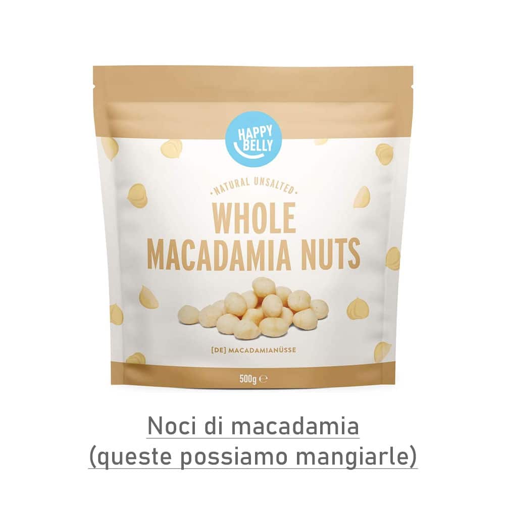 noci-di-macadamia