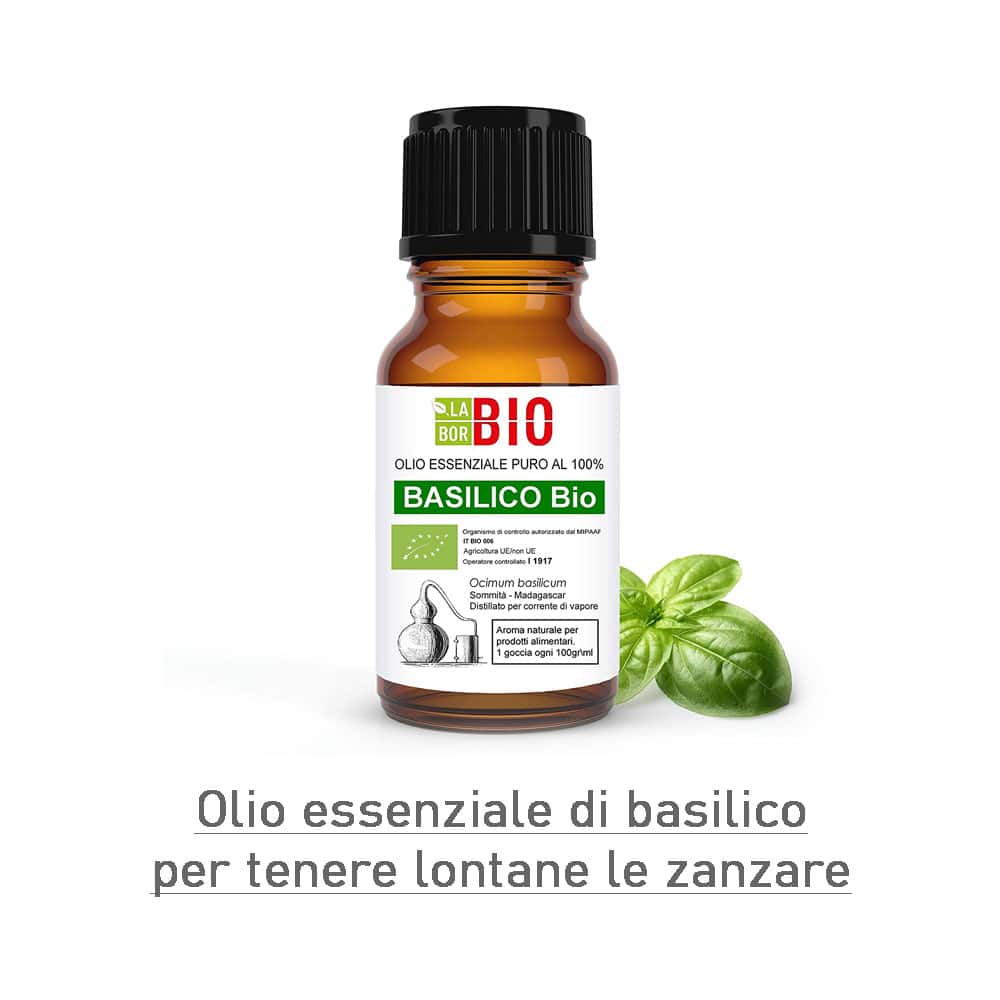 olio-di-basilico