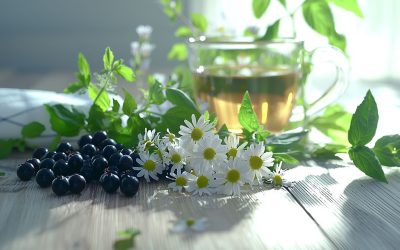 Antistaminici naturali
