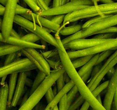 Fagiolini, verdure senza istamina Fagiolini, verdure senza istamina